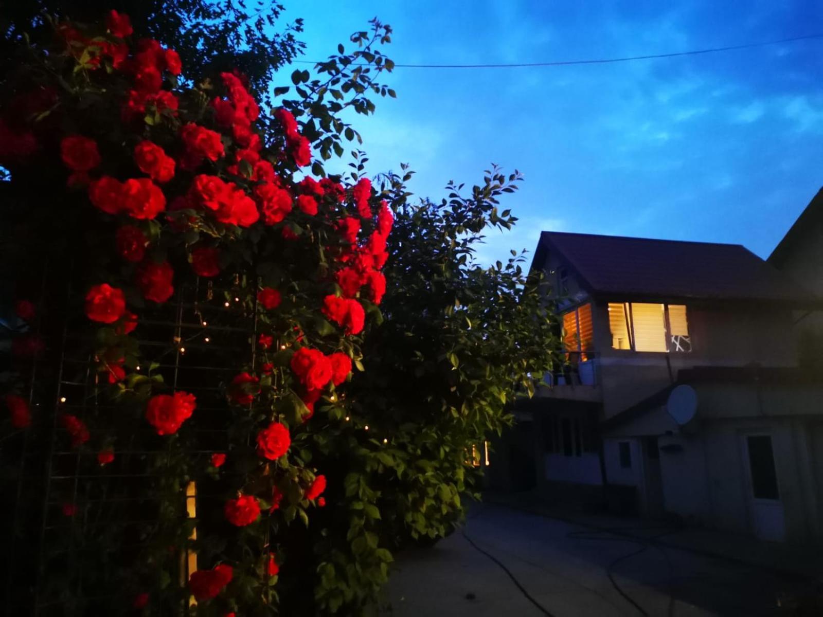 Cristalex Villaverde Bucharest Pantelimon Eksteriør bilde